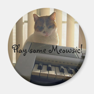 Leka någon Meowsic! Magnet