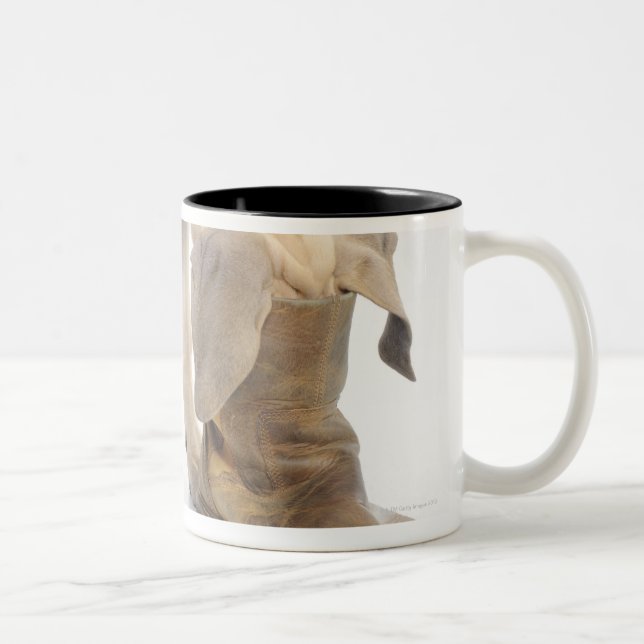 leka vänskapsmatch, kuriositet Två-Tonad mugg (Höger)