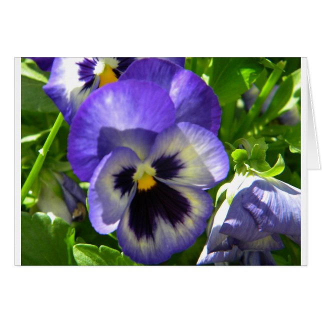 Lekande blomma hälsningskort (Framsidan Horizontal)