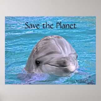 Lekande delfin - Räddar planetet Poster