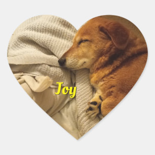 Lekande Hund Heart Sticker Hjärtformat Klistermärke