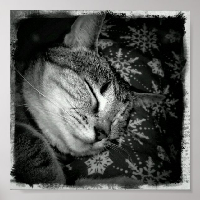 Lekande indigo B+W Poster (Framsidan)