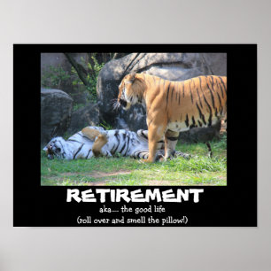Lekande tiger (16x12), PENSION Poster