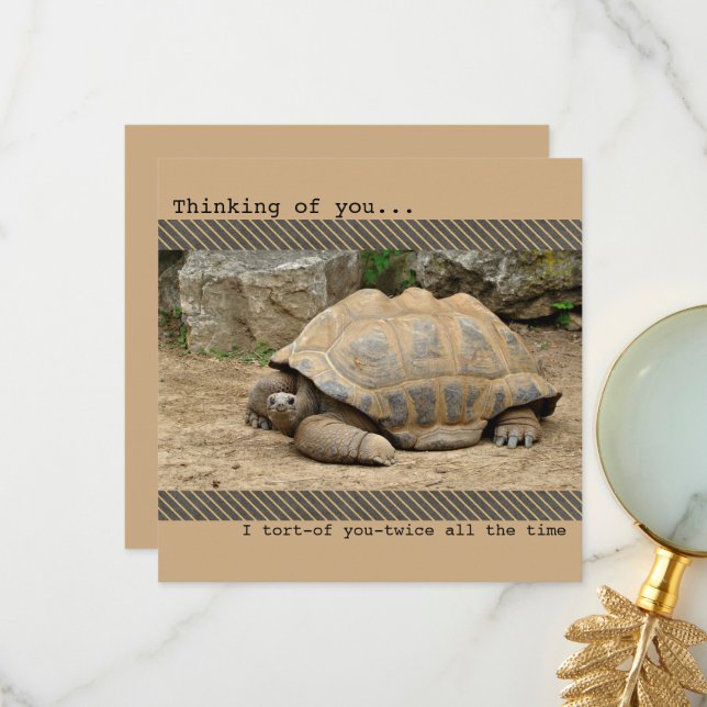 Lekande Tortoise.. Tack Kort (Fram/Back In Situ)