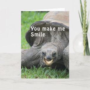 Lekande Tortoise Tänkande av ditt kort