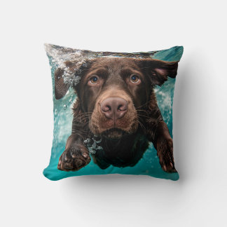 Lekfull chokladfärgad labrador som simmar under va kudde