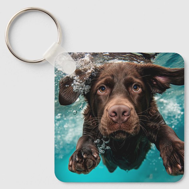 Lekfull chokladfärgad labrador som simmar under va nyckelring (Framsida)