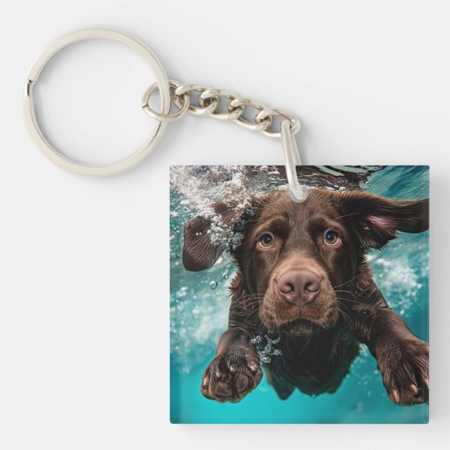 Lekfull chokladlabrador som simmar under vattnet (Framsidan)