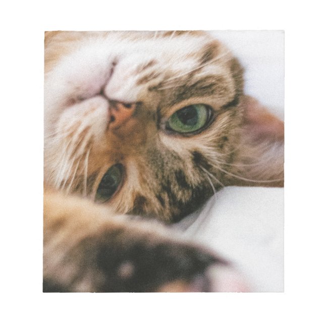 lekfull katt anteckningsblock (Framsida)