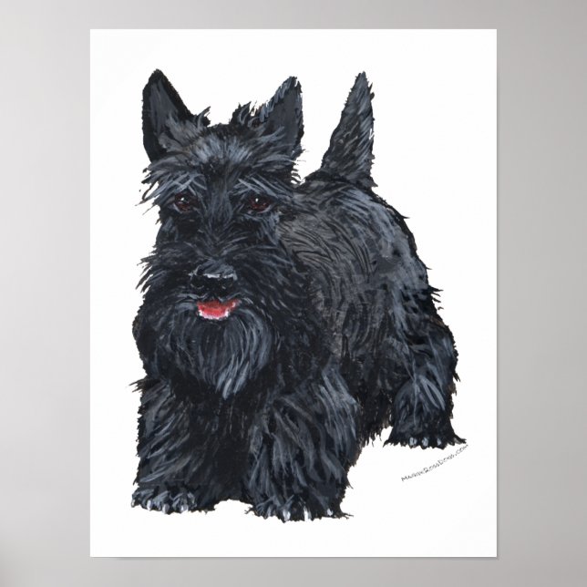 Lekfull Scottish Terrier Poster (Framsidan)