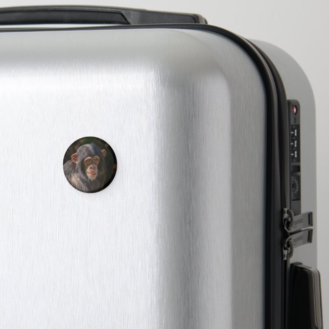 Lekfull själ – närbild på baby schimpans magnet (In Situ (Luggage))