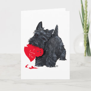 Lekfull skotsk terrier Alla hjärtans dag-kort Helgkort