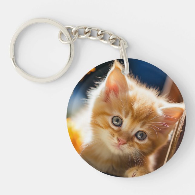 Lekfull söt kattunge  (Framsidan)