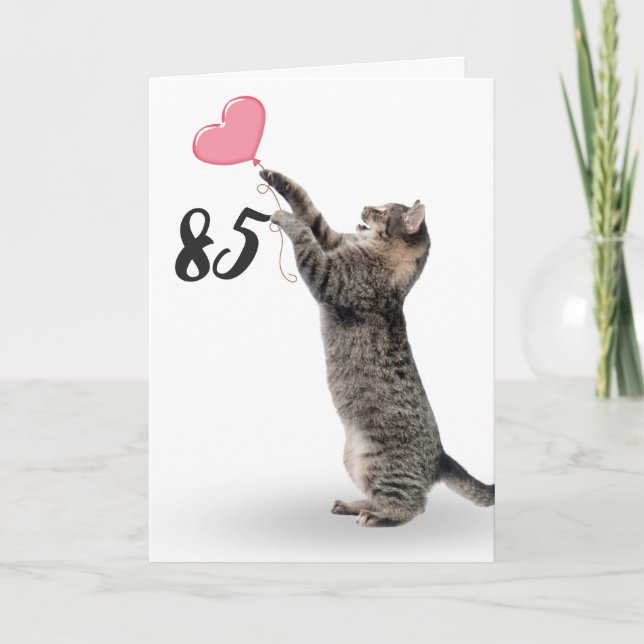 lekfull tabby katt för 85:e födelsedagskort kort (Framsida)
