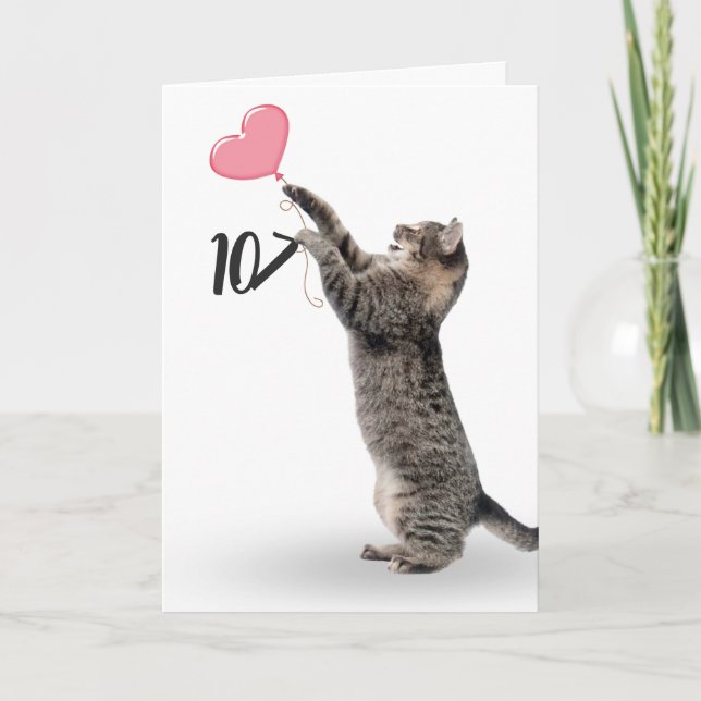 lekfull tabbykatt för 107-års födelsedagskort kort (Framsida)