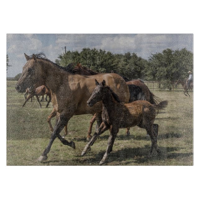 Lekfulla hästar springer scen (Framsidan)