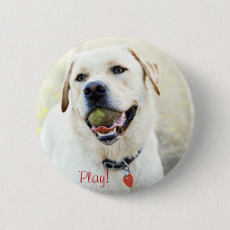 Lekhund Knapp