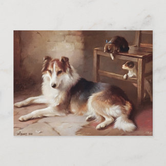 Lekkamrater - Hund Valp - Valp Vykort