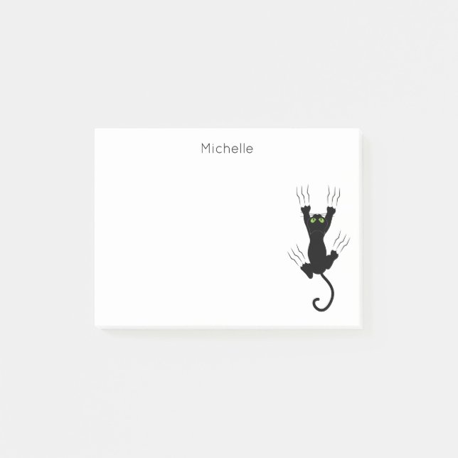 Lekpinne för kattskinn post-it block (Framsida)