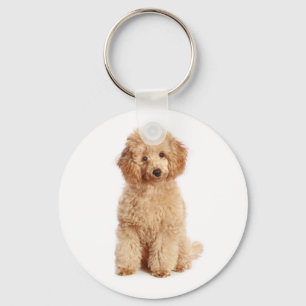 Leksak Aprikot Pudel Puppy Kärlek Hund Nyckelring