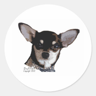 Leksak Chihuahua Black och Tan Runt Klistermärke