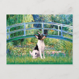 Leksak Fox Terrier - Bridge Vykort