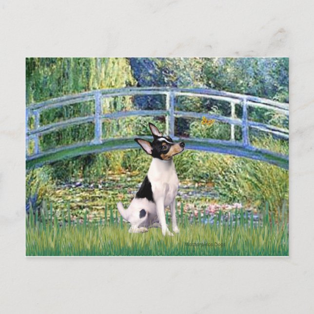 Leksak Fox Terrier - Bro Vykort (Framsida)