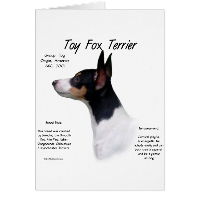 Leksak Fox Terrier-historikdesign Hälsningskort (Framsidan)