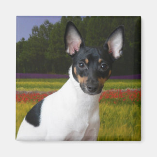 Leksak Fox Terrier Magnet