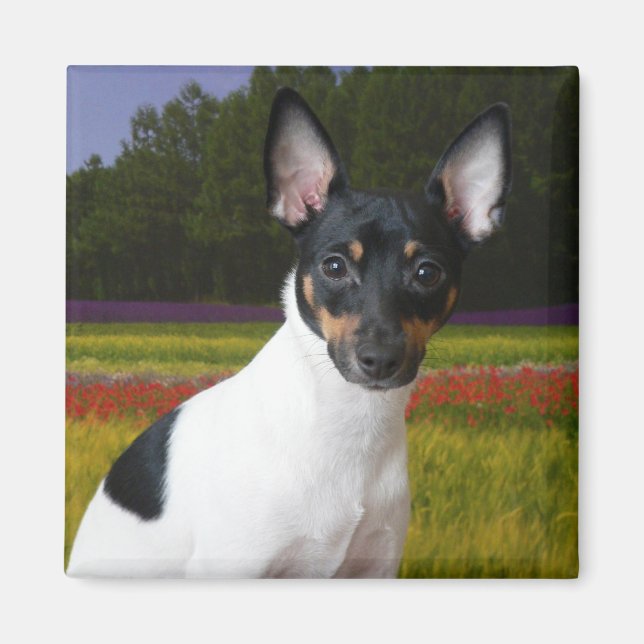 Leksak Fox Terrier Magnet (Framsidan)