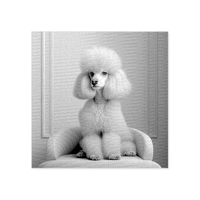 LEKSAK PUDEL RUBBER FRIMÄRKE STÄMPEL (Tryck)