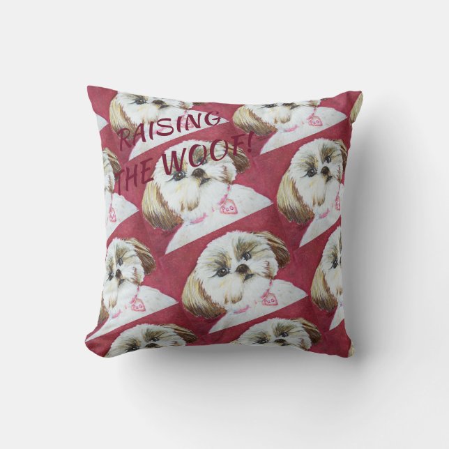 LEKSAK SHIH TZU MIX KUDDE (Framsida)