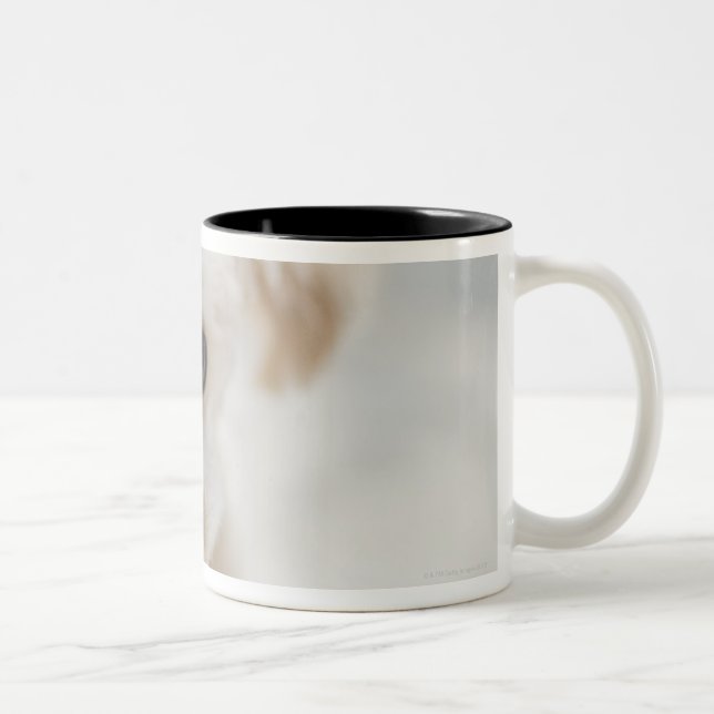 leksakpudel Två-Tonad mugg (Höger)
