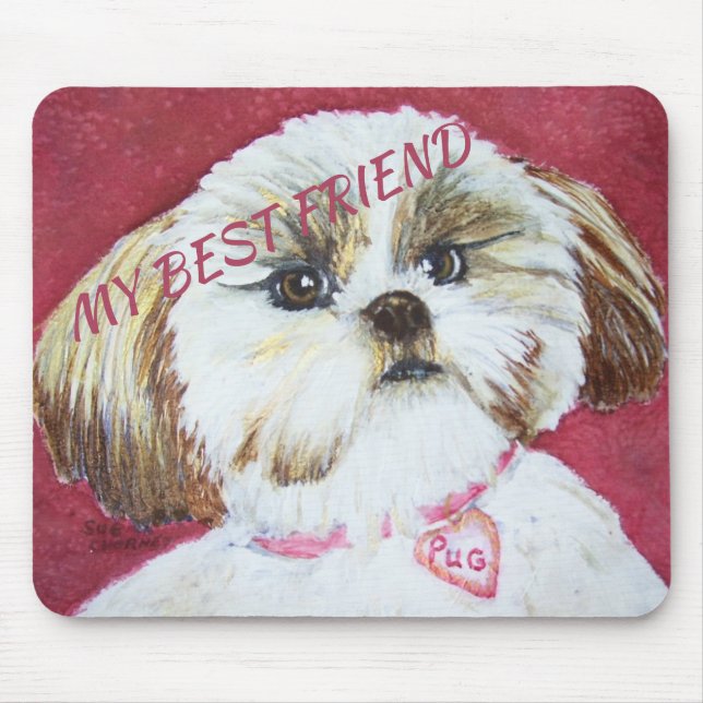 LEKSAKSHIH TZU BLANDNING MUSMATTA (Framsidan)