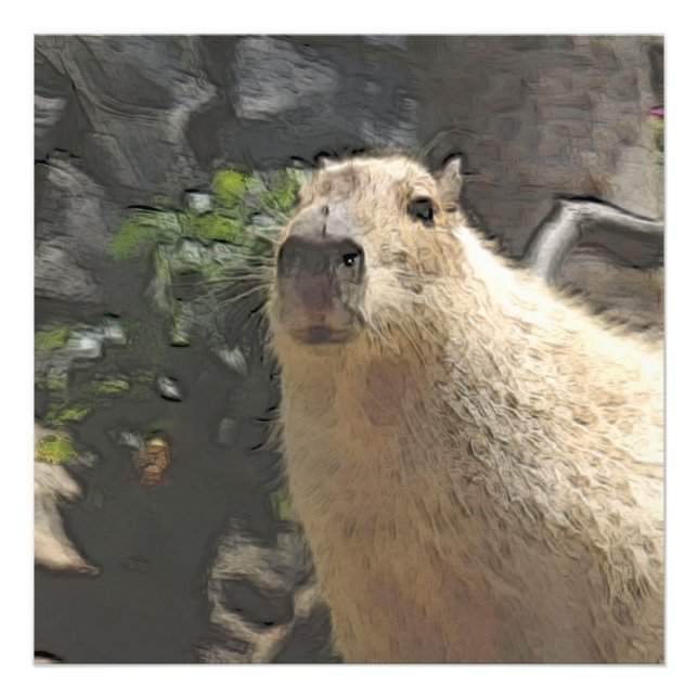 leksakskapsel 3 fototryck (Framsidan)