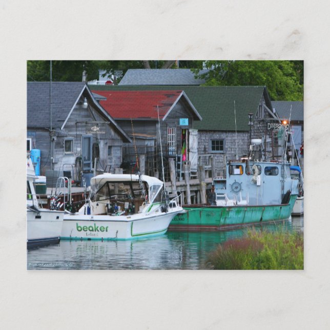 Leland Vykort (Framsida)