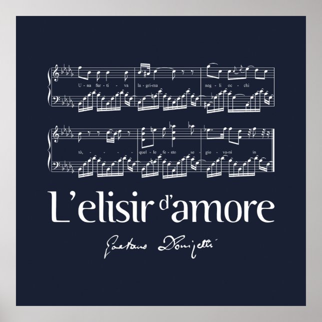 L'elisir d'amore 2 poster (Framsidan)