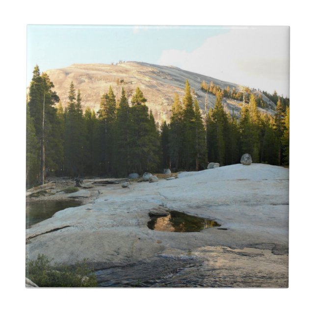Lembert Dome in Tuolumne Meadows, Yosemite, CA Kakelplatta (Framsidan)