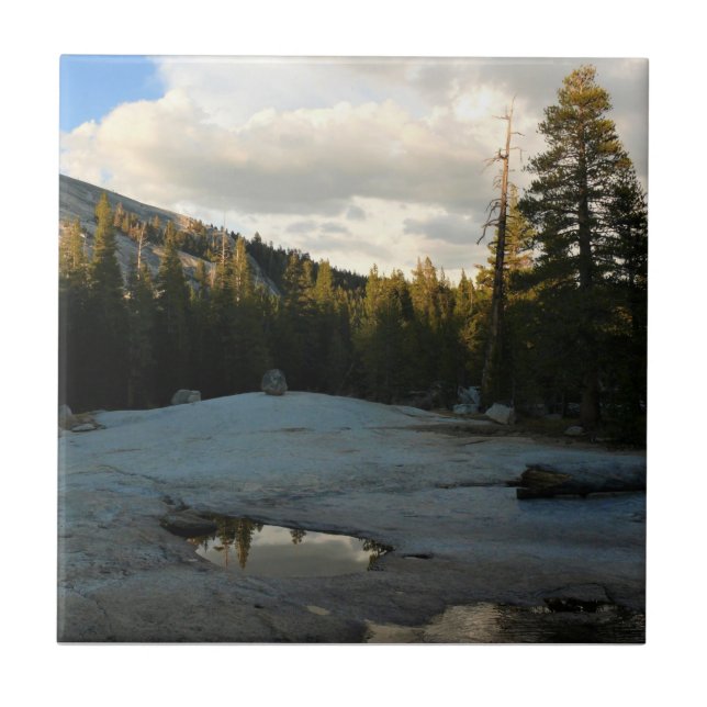 Lembert Dome in Tuolumne Meadows, Yosemite, CA Kakelplatta (Framsidan)