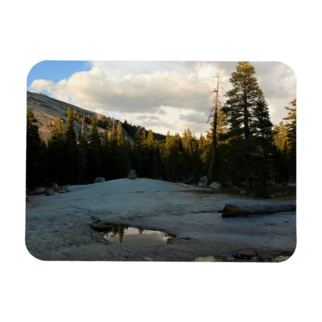 Lembert Dome in Tuolumne Meadows, Yosemite, CA Magnet (Horisontell)