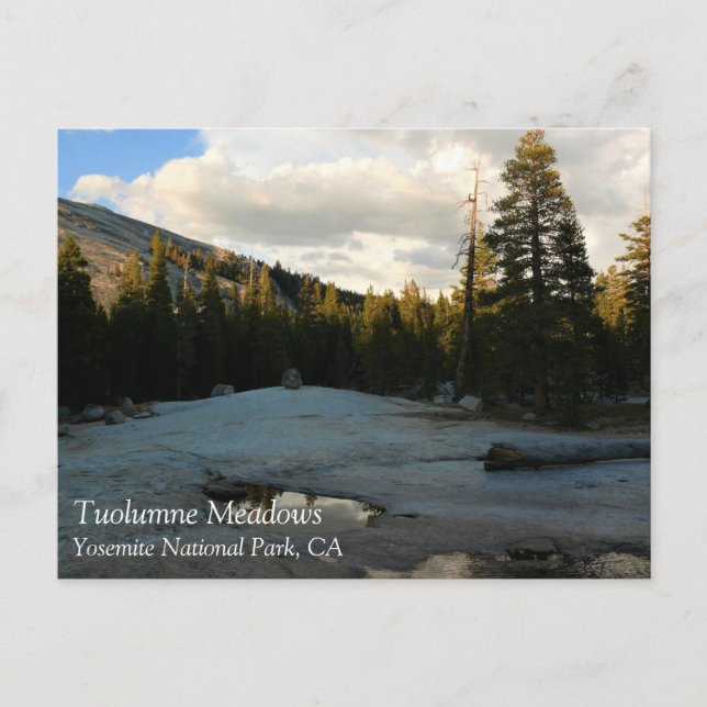 Lembert Dome in Tuolumne Meadows, Yosemite, CA Pos Vykort (Framsida)