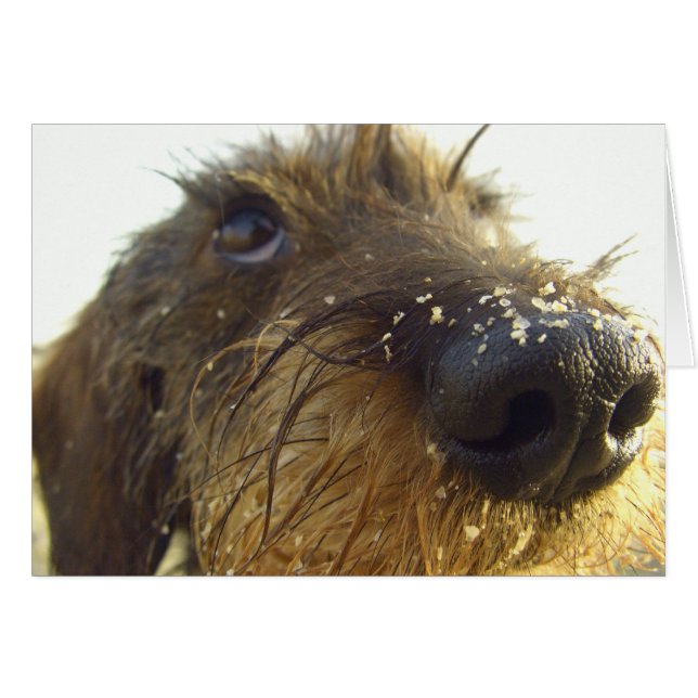 Lemme tänka om det... hälsningskort (Framsidan Horizontal)