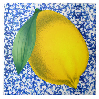 Lemon Blue White Porcelain Mönster Kakelplatta