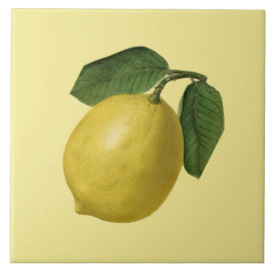 Lemon Botanical ~ Kitchen ~ Valfri Färg-bakgrund Kakelplatta