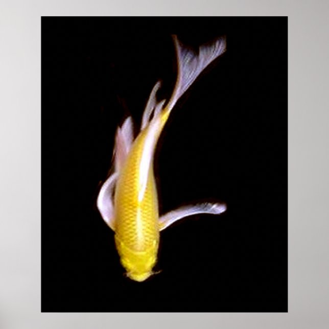 Lemon Butterfly Koi Poster (Framsidan)