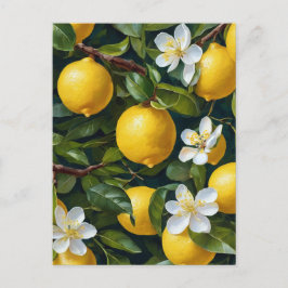Lemon Frukt Blommar Art-målning Vykort