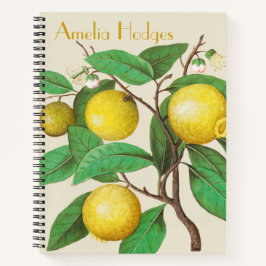 Lemon Gren med Namn Bullet Journal