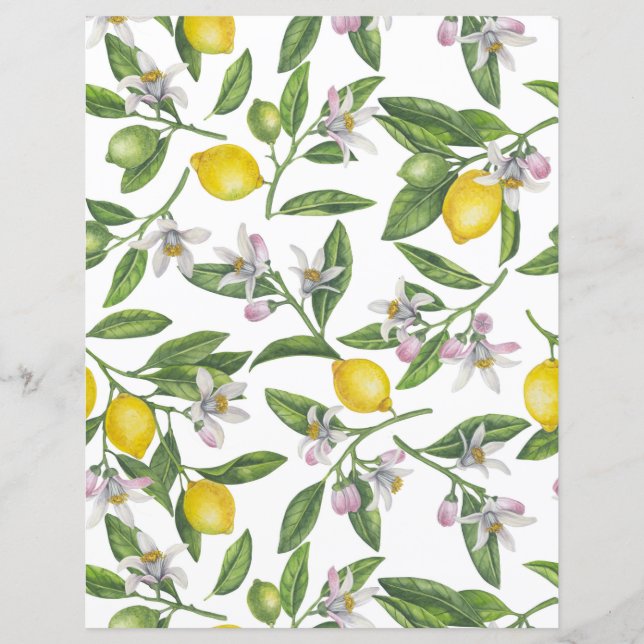 Lemon grenar med blommar och frukt på vitt (Framsida)