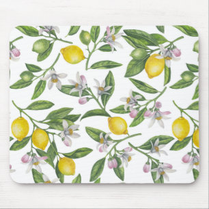 Lemon grenar med blommar och frukt på vitt musmatta