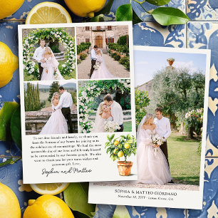 Lemon Grove 5 Photo Bröllop Tack Kort